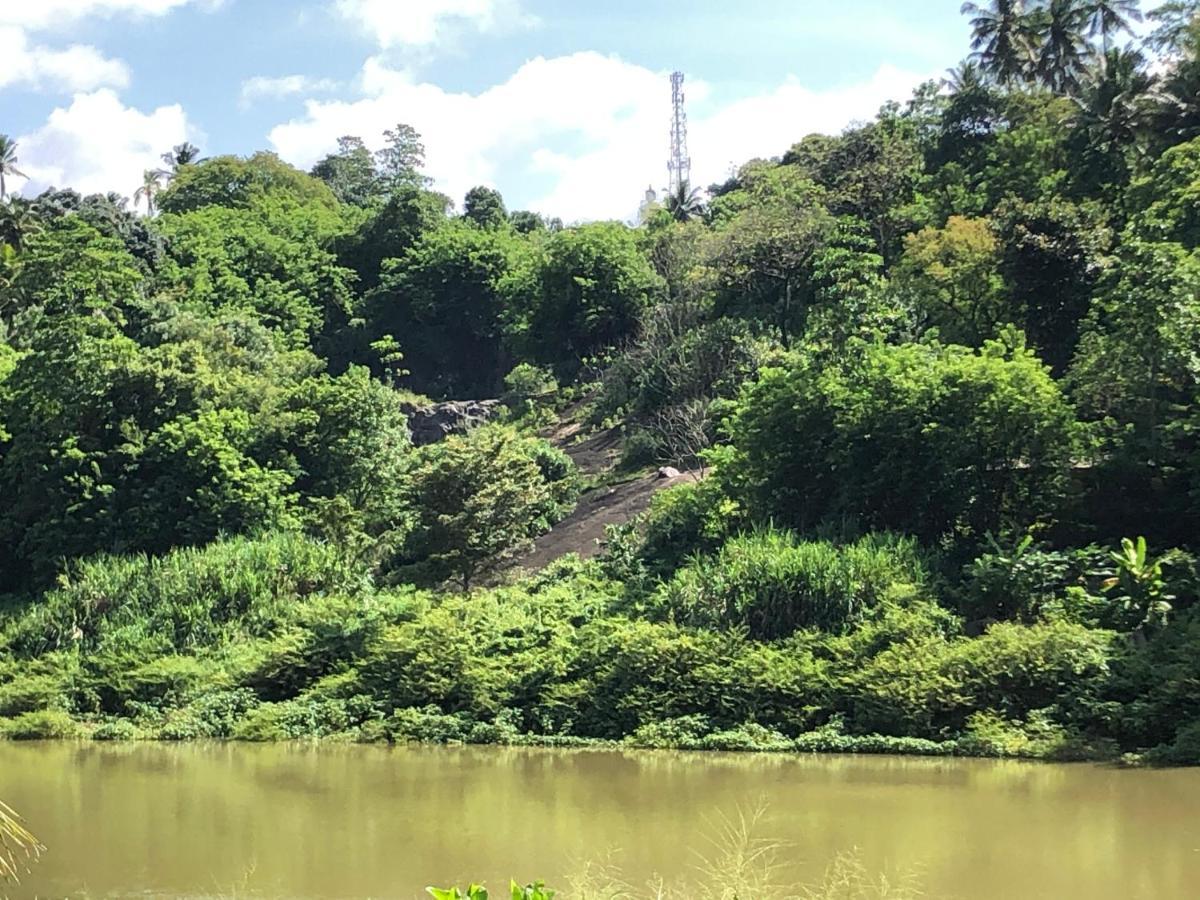 Kandy Rivers Edge Nature Resort Luaran gambar