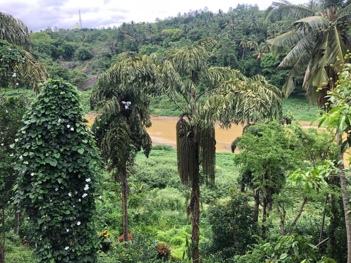Kandy Rivers Edge Nature Resort Luaran gambar