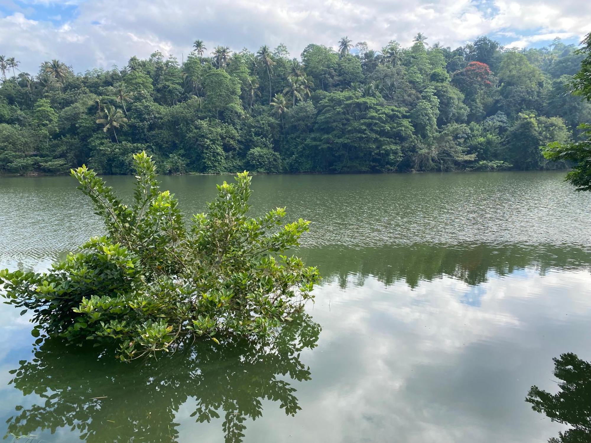Kandy Rivers Edge Nature Resort Luaran gambar